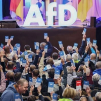Die bayerische AfD trifft sich zu einem Parteitag. (Archivbild) (Foto: Daniel Löb/dpa)