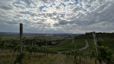Die zwei Tage der offenen Weingüter ziehen jedes Jahr viele Besucherinnen und Besucher in die Marktgemeinde Ipsheim. (Foto: Ute Niephaus)