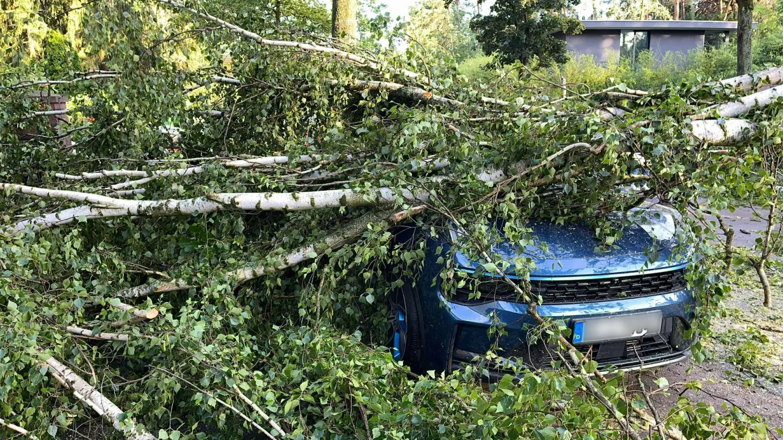 Bäume, die auf Autos stürzen und andere Naturgefahren richteten vergangenes Jahr deutlich weniger Schäden an. (Archivbild) (Foto: Jens Dudziak/dpa)