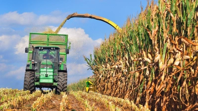 Der Flächenbedarf in der Landwirtschaft hängt nicht nur davon ab, ob Betriebe ökologisch oder konventionell wirtschaften. Vor allem der Anteil an tierischen Produkten in der Ernährung hat enormen Einfluss. (Foto: Jim Albright)