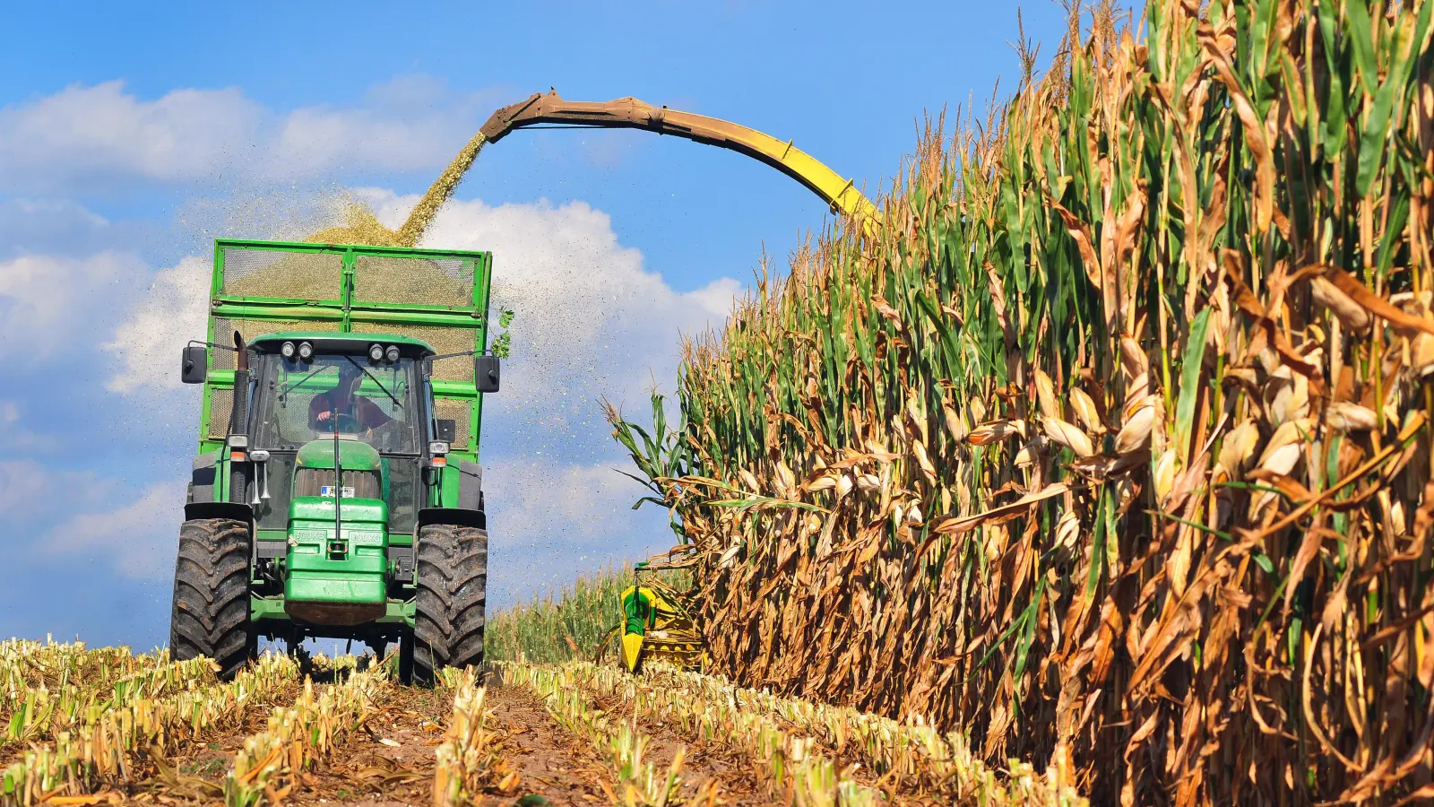 Der Flächenbedarf in der Landwirtschaft hängt nicht nur davon ab, ob Betriebe ökologisch oder konventionell wirtschaften. Vor allem der Anteil an tierischen Produkten in der Ernährung hat enormen Einfluss. (Foto: Jim Albright)