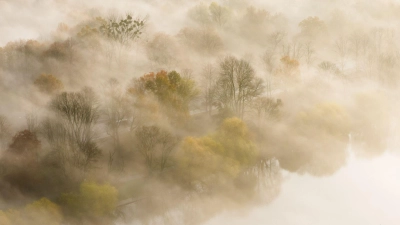 Auch bei Nebel lassen sich atmosphärische Fotos machen. (Foto: Julian Stratenschulte/dpa/dpa-tmn)