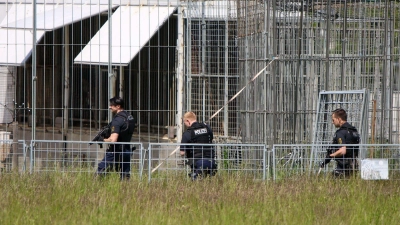 Der Tiger war aus einer privaten Haltung entkommen. (Foto: Björn Stach/EHL Media/dpa)