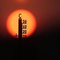 Die Förderrichtlinie soll noch in diesem Sommer in Kraft treten. (Symbolbild) (Foto: Thomas Warnack/dpa)