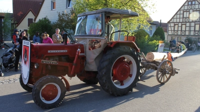 Die Abholung und das Aufstellen des Maibaums finden traditionell am 30. April statt.  (Foto: Gemeinde Neusitz)
