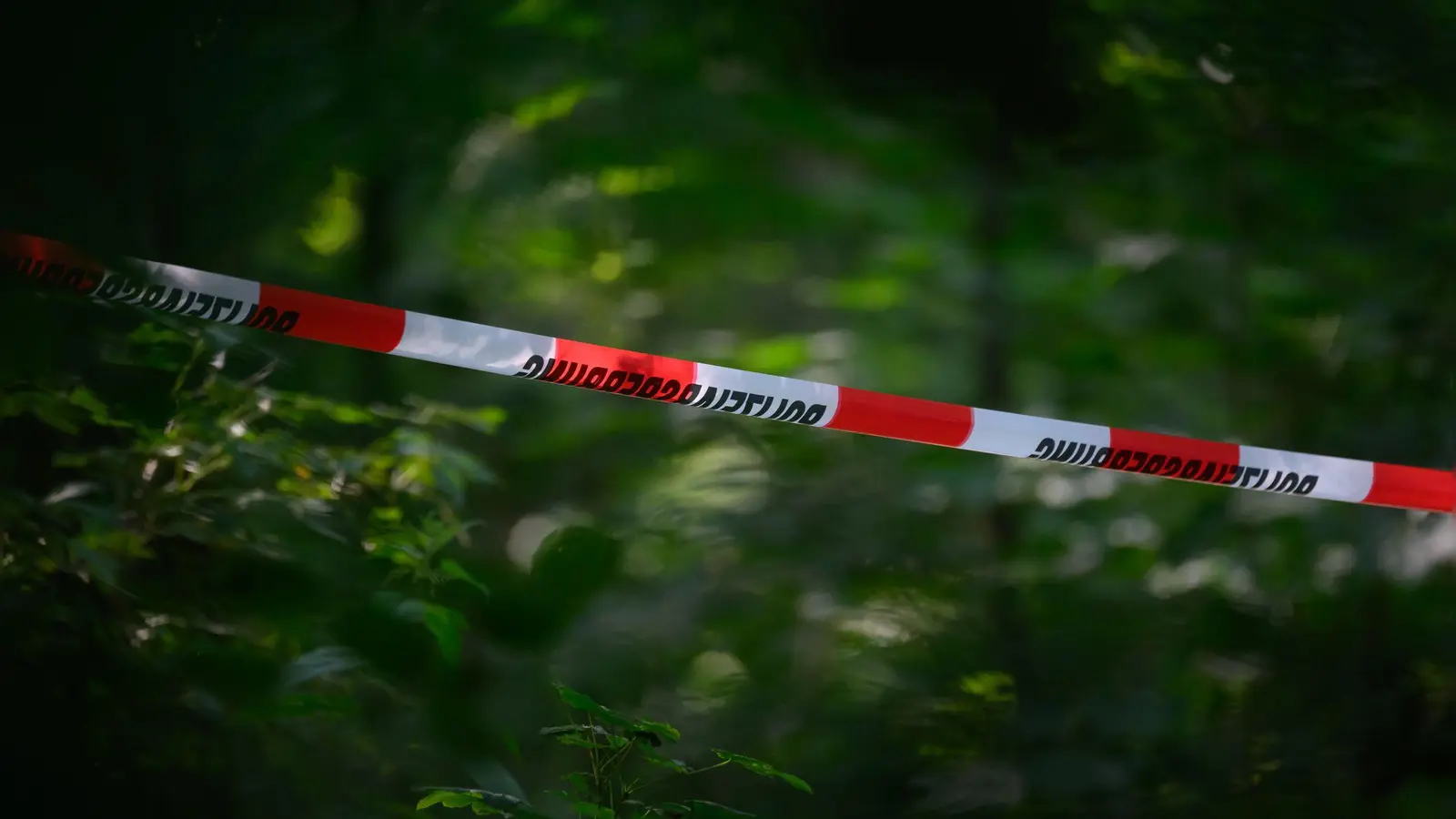 Der Fund in einem Wald bei Berlin hat Ermittlungen ausgelöst, die bis hin zu mutmaßlichen Anschlagsplänen führen (Archivbild). (Foto: Robert Michael/dpa)