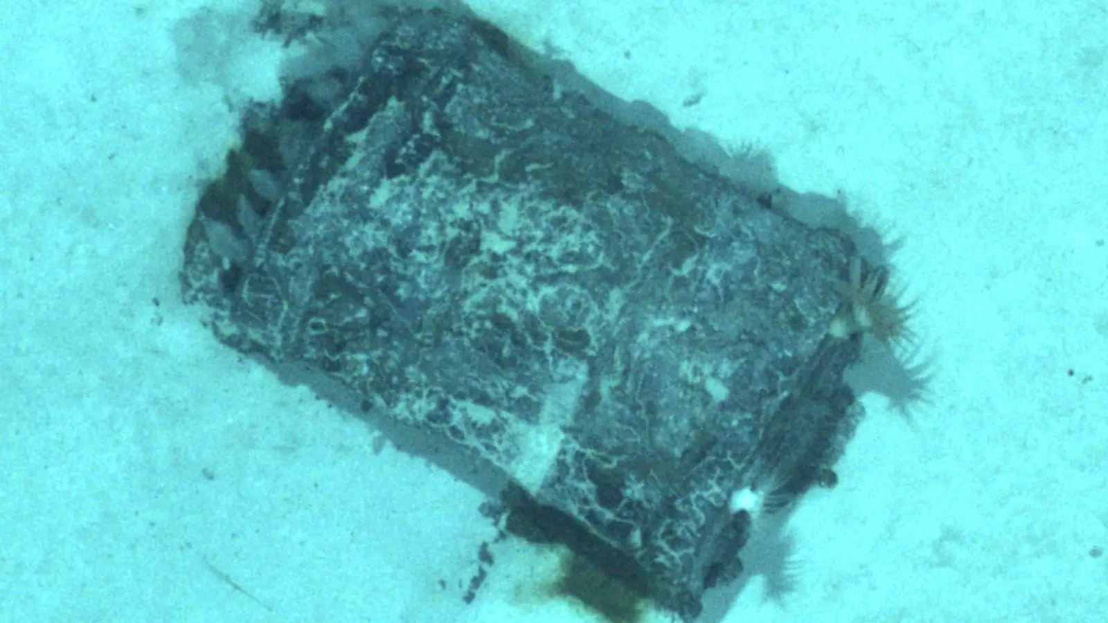 Die Forschenden untersuchten etwa 50 Atommüll-Fässer anhand von Fotos. (Foto: -/Flotte Océanographique Française/dpa)