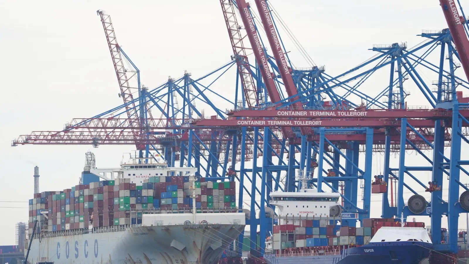Obwohl sechs Ministerien davon abraten, plant das Bundeskanzleramt offenbar, den Verkauf von Anteilen des Hamburger Hafenbetreibers HHLA an die chinesische Reederei Cosco durchzusetzen. (Foto: Marcus Brandt/dpa)