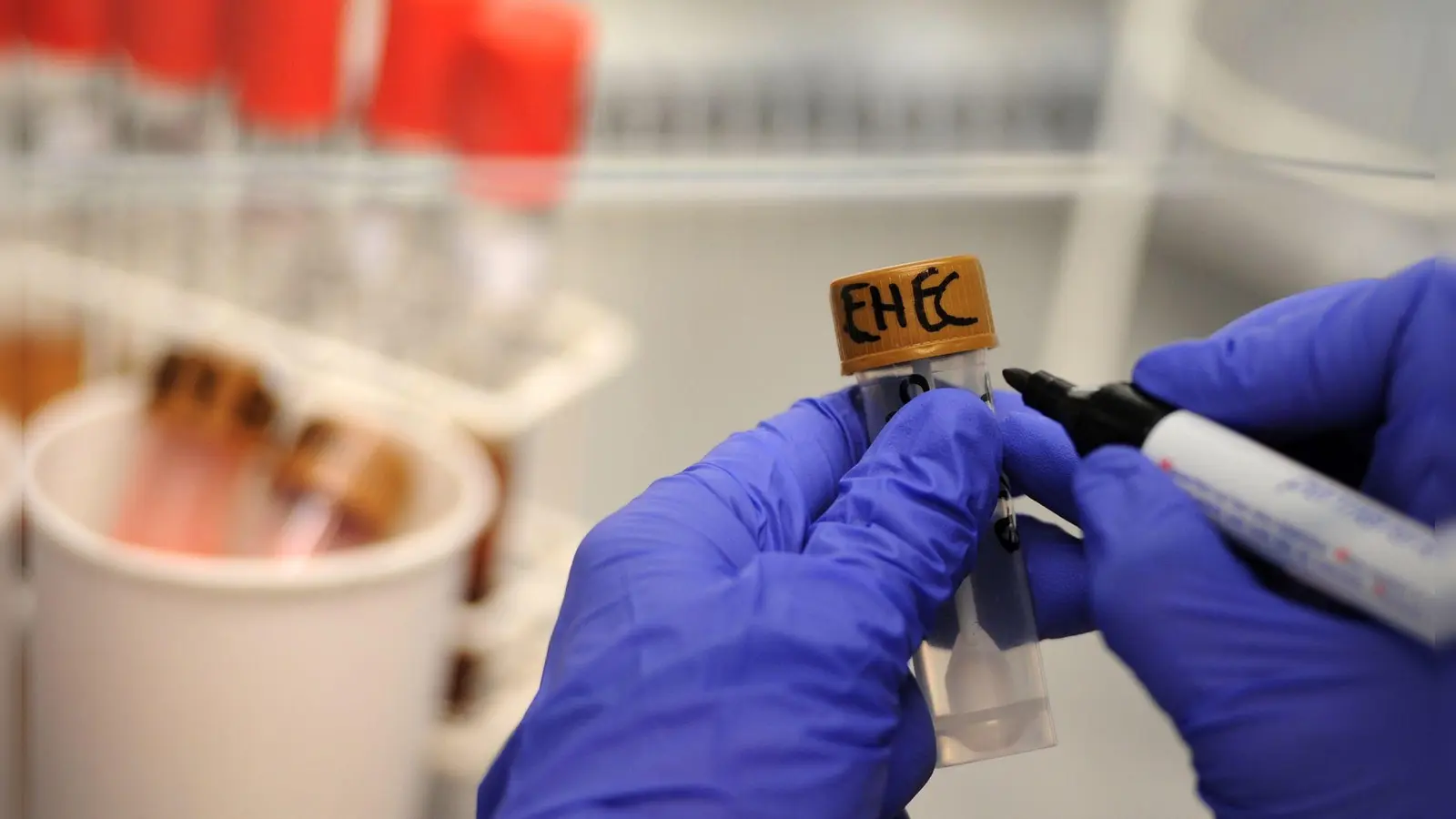 Rinder-Salami wird wegen einer möglichen bakteriellen Belastung zurückgerufen. (Symbolbild)  (Foto: picture alliance / dpa)