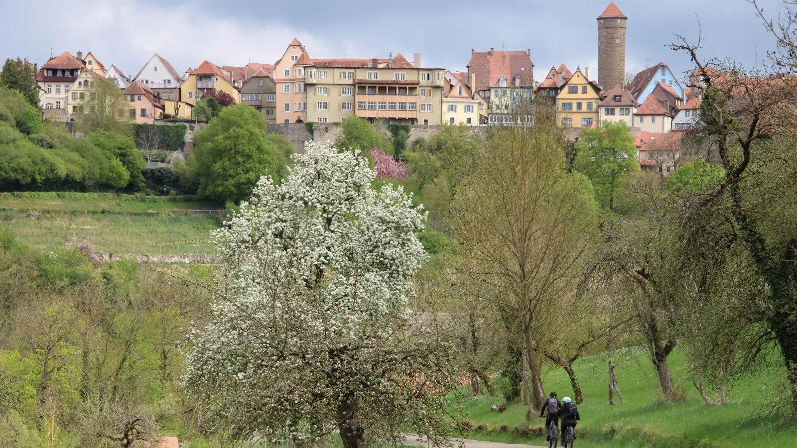Unterhalb von Rothenburg verläuft die Tauber. Entlang des Flusses erstrecken sich Wander- und Radwege. (Archivbild: Clarissa Kleinschrot)