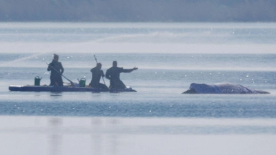Am Freitag lief die private Rettungsaktion des vor der Ostsee-Insel Poel gestrandeten Buckelwals weiter auf Hochtouren. (Foto: Jens Büttner/dpa)