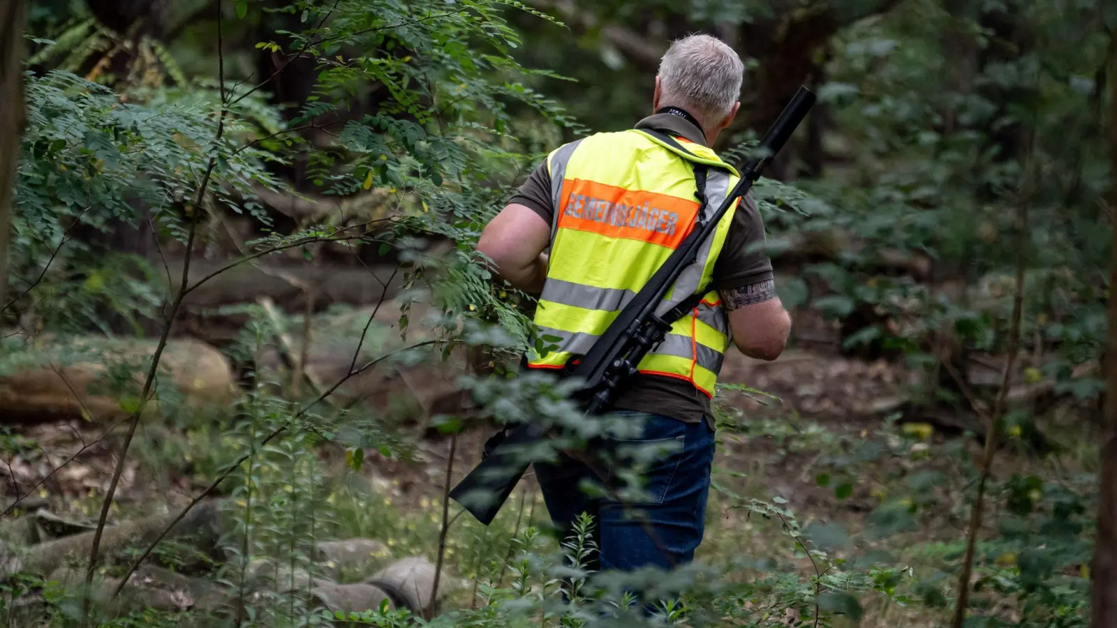 Ein Gemeindejäger durchsucht im Bereich der südlichen Landesgrenze von Berlin den Wald. (Foto: Fabian Sommer/dpa)