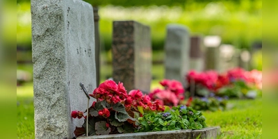 Die Gartenarbeit am Grab hilft den Angehörigen, den Verlust zu verarbeiten und unterstützt so die Trauerbewältigung. (Foto: Bundesverband Deutscher Bestatter e.V. / iStock)