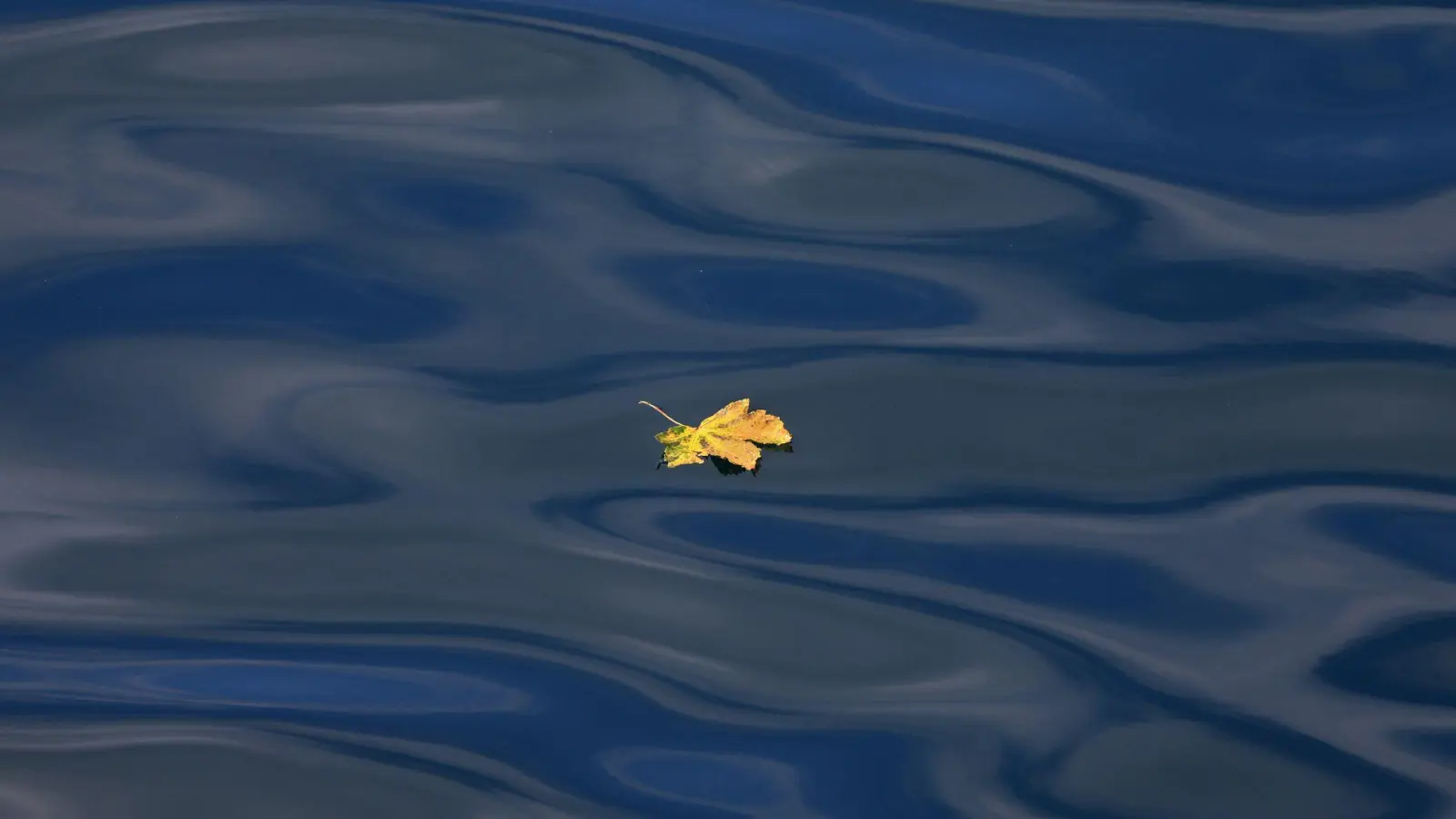 Auf Sommerhitze folgt in Bayern Abkühlung mit Gewittern und Regenschauern. (Symbolbild) (Foto: Karl-Josef Hildenbrand/dpa)