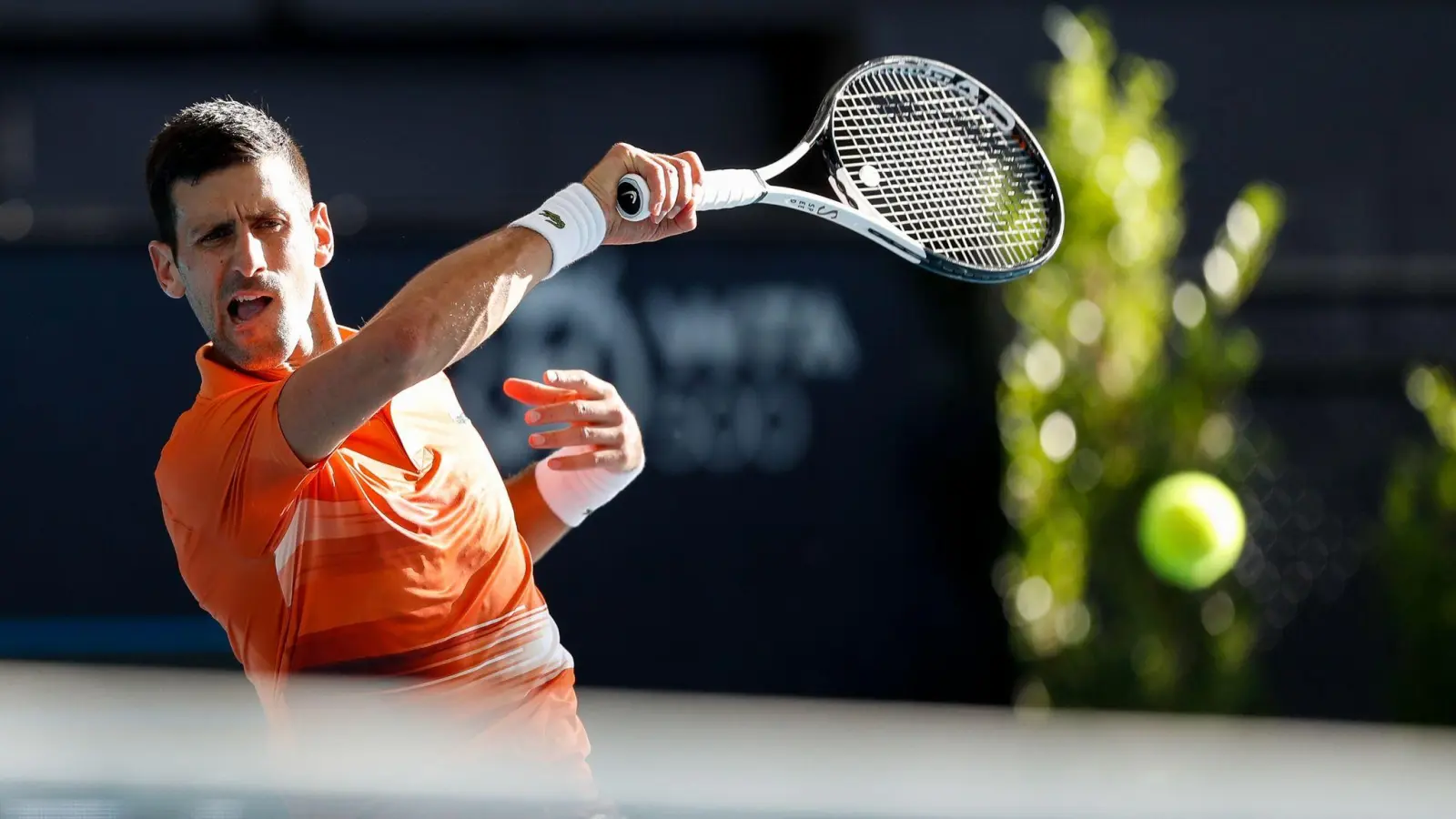 Der Serbe Novak Djokovic hat sich im Finale von Adelaide gegen den US-Amerikaner Sebastian Korda durchgesetzt. (Foto: Matt Turner/AAP/dpa)