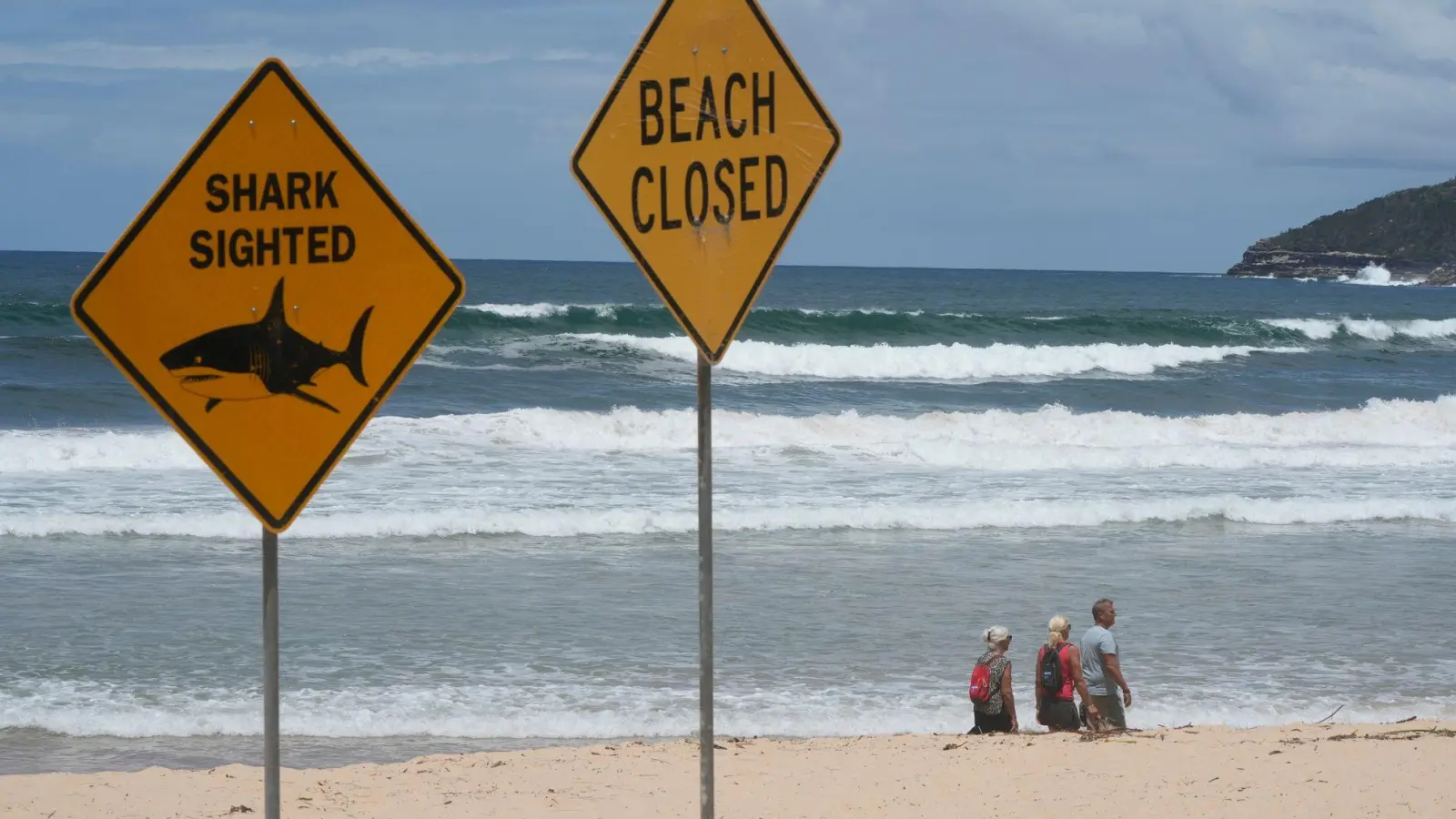 Innerhalb von nur wenigen Tagen wurden aus dem australischen Bundesstaat New South Wales vier Haiangriffe gemeldet. (Symbolbild) (Foto: Rick Rycroft/AP/dpa)