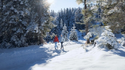 Zu Fuß durch verschneite Landschaften: Winterwandern wird von den Destinationen als Alternative zum Skifahren oder anderem Wintersport gerade gepusht. (Foto: Region Seefeld/dpa-tmn)
