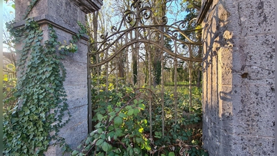 Der Efeu wird sich wohl ungehindert weiter ausbreiten können. Wenn bis Ende März nicht deutlich Bewegung in das Projekt auf dem Rothenburger Brauhausareal kommt, ist der Vertrag mit dem Planer beendet. (Foto: Margit Schwandt)