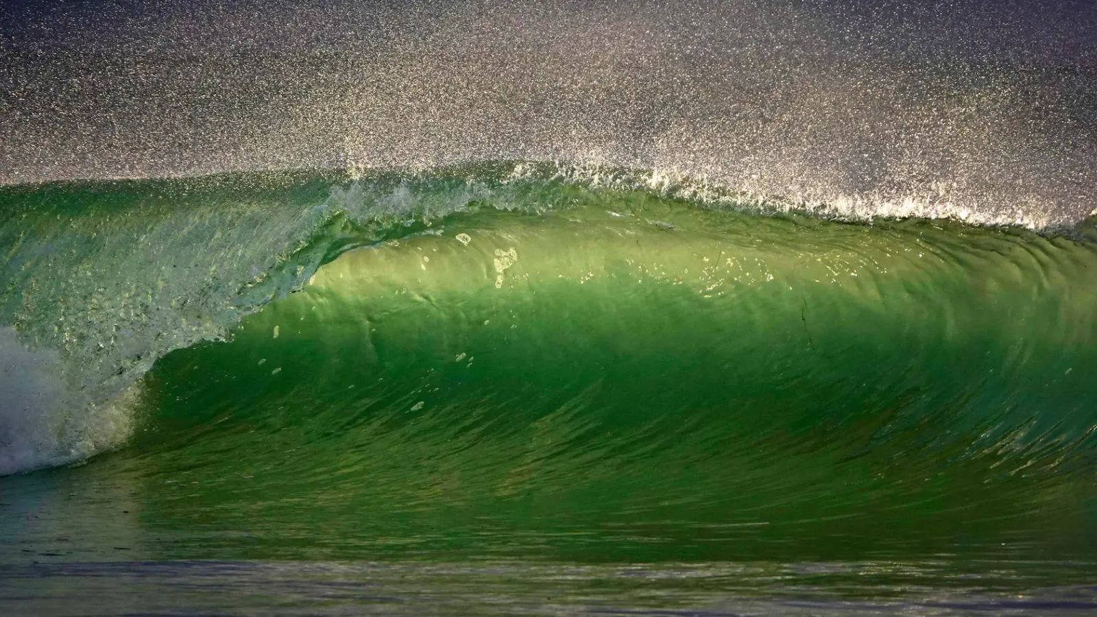 Ein schöner Anblick, aber stark belastet: Die Meere der Welt sind voller kleinster Plastikteilchen.  (Foto: K.C. Alfred/ZUMA Wire/dpa)