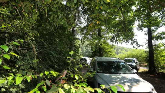 Autos parken auf einer freien Fläche: Bei erhöhter Waldbrandgefahr sollten zumindest Autos mit Katalysatoren nicht auf trockenem Gras oder Waldboden abgestellt werden. (Foto: Karl-Josef Hildenbrand/dpa/dpa-tmn)