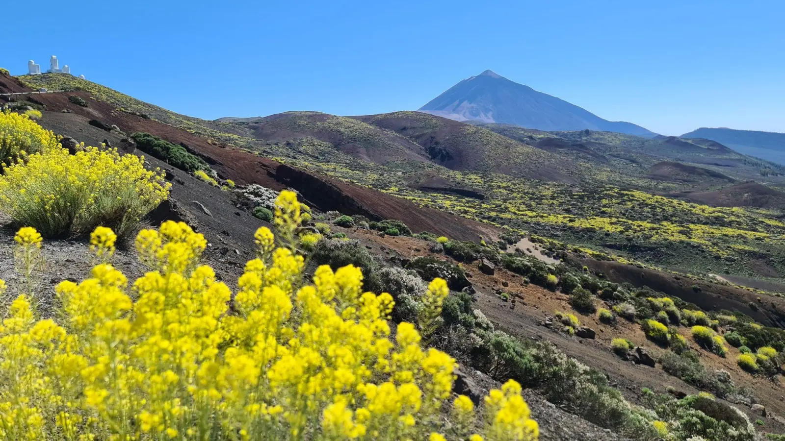 Der Berg Teide auf Teneriffa ist nur eines der Highlights der Kanarischen Inseln. (Foto: Isabelle Modler/dpa-tmn)