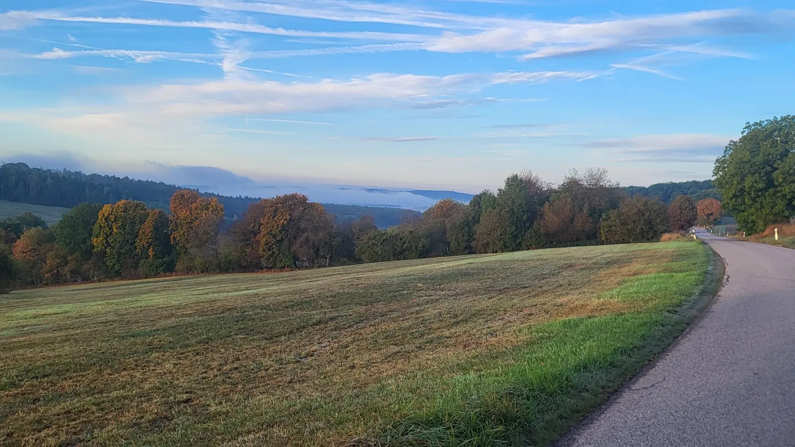 Revierförster Johannes Wüst referierte über Aktuelles aus dem Gemeindewald. Ein Paradebeispiel dafür ist der Wald im Tal zwischen Schlierberg und Langfurth. (Foto: Albert Schülein)