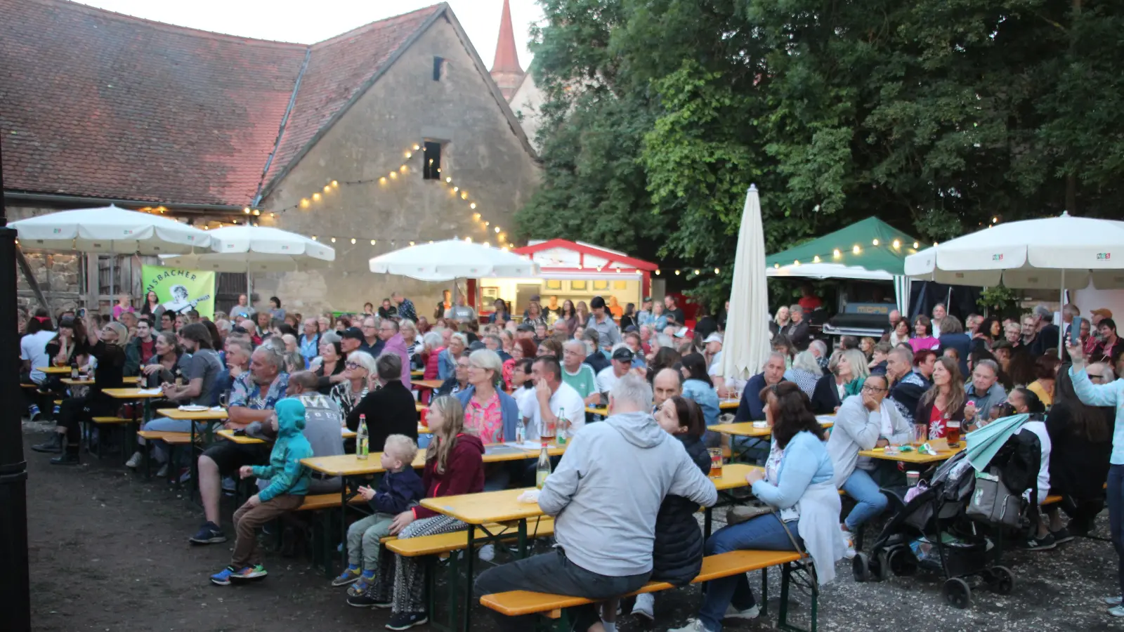 Beliebte Party-Location beim Altstadtfest oder Bardentreffen: Das Areal der Ziegenwiese soll nun mit dem Umbau zur Kulturscheune aufgewertet werden. (Archivfoto: Robert Maurer)