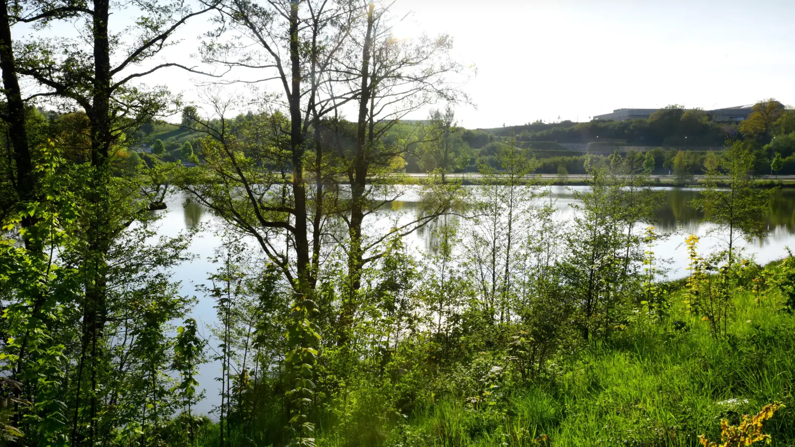 Am Soldatenweiher bei Obereichenbach machten Passanten einen erschreckenden Fund. (Archivbild: Jim Albright)