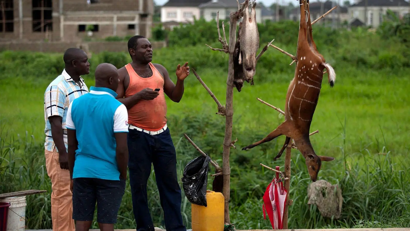 Ein Wildfleischhändler im nigerianischen Bundesstaat Bayelsa preist gegenüber potenziellen Kunden seine Ware an. (Foto: Tife Owolabi/EPA/dpa)