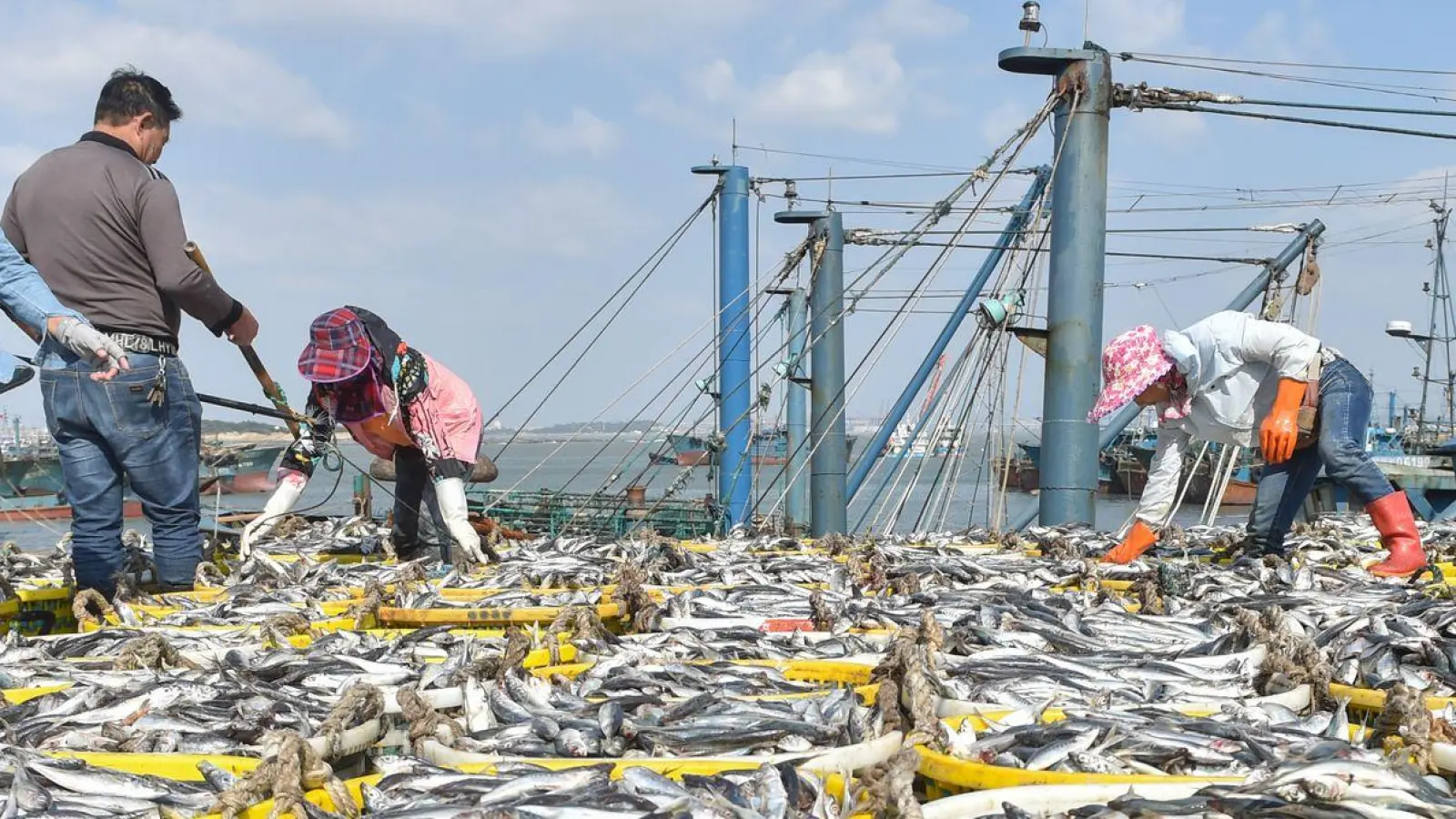 Bei der WTO-Konferenz konnte sich nicht auf neue Fischerei-Regeln geeinigt werden. (Foto: Song Weiwei/Xinhua/dpa)