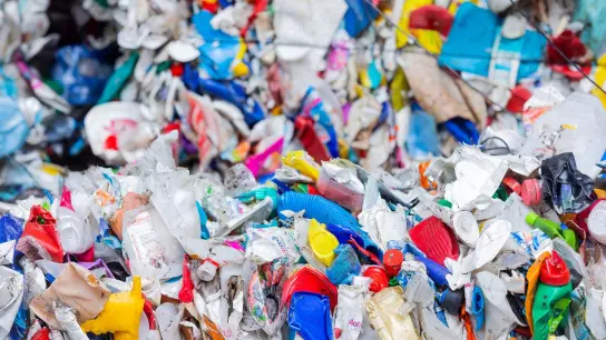 Der WWF will mit einer Ausstellung im Metaverse auf die weltweite Plastikmüll-Krise aufmerksam machen. (Foto: Rolf Vennenbernd/dpa)