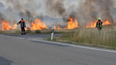 Insgesamt waren auf dem 2,5 Hektar großen Getreidefeld zwischen Altershausen und Hombeer etwa 80 Einsatzkräfte der Feuerwehren vor Ort, um die Flammen in den Griff zu bekommen.  (Foto: Mark Oliwa)
