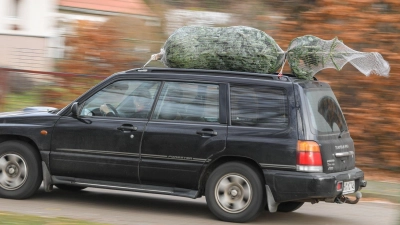 Stamm voraus: So sollte der Baum platziert sein, wenn man ihn auf dem Autodach transportiert. (Foto: Patrick Pleul/dpa/dpa-tmn)