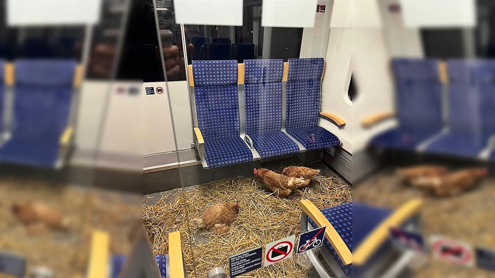 „Die Eier sind 1. Klasse“, schrieb die Deutsche Bahn auf Instagram zu den zurückgelassenen Hühnern. (Foto: -/Deutsche Bahn AG/dpa)