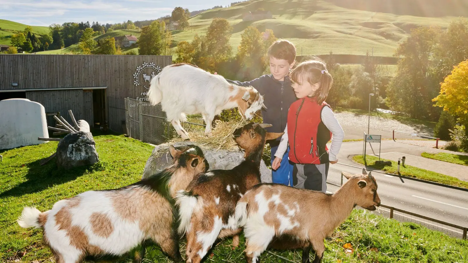 Kinder dürfen im Feriendorf auch Ziegen füttern. (Foto: Andrea Campiche/Reka/dpa-tmn)