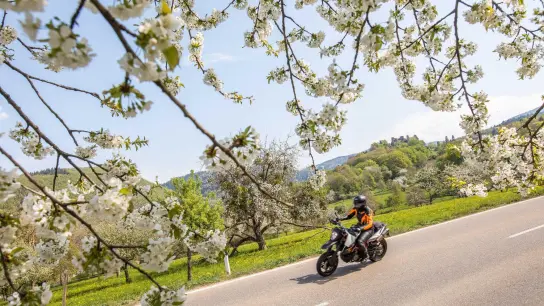 Auf die erste Ausfahrt in der neuen Saison bereiten sich Motorradfahrer am besten gut vor. (Foto: Philipp von Ditfurth/dpa/dpa-tmn)
