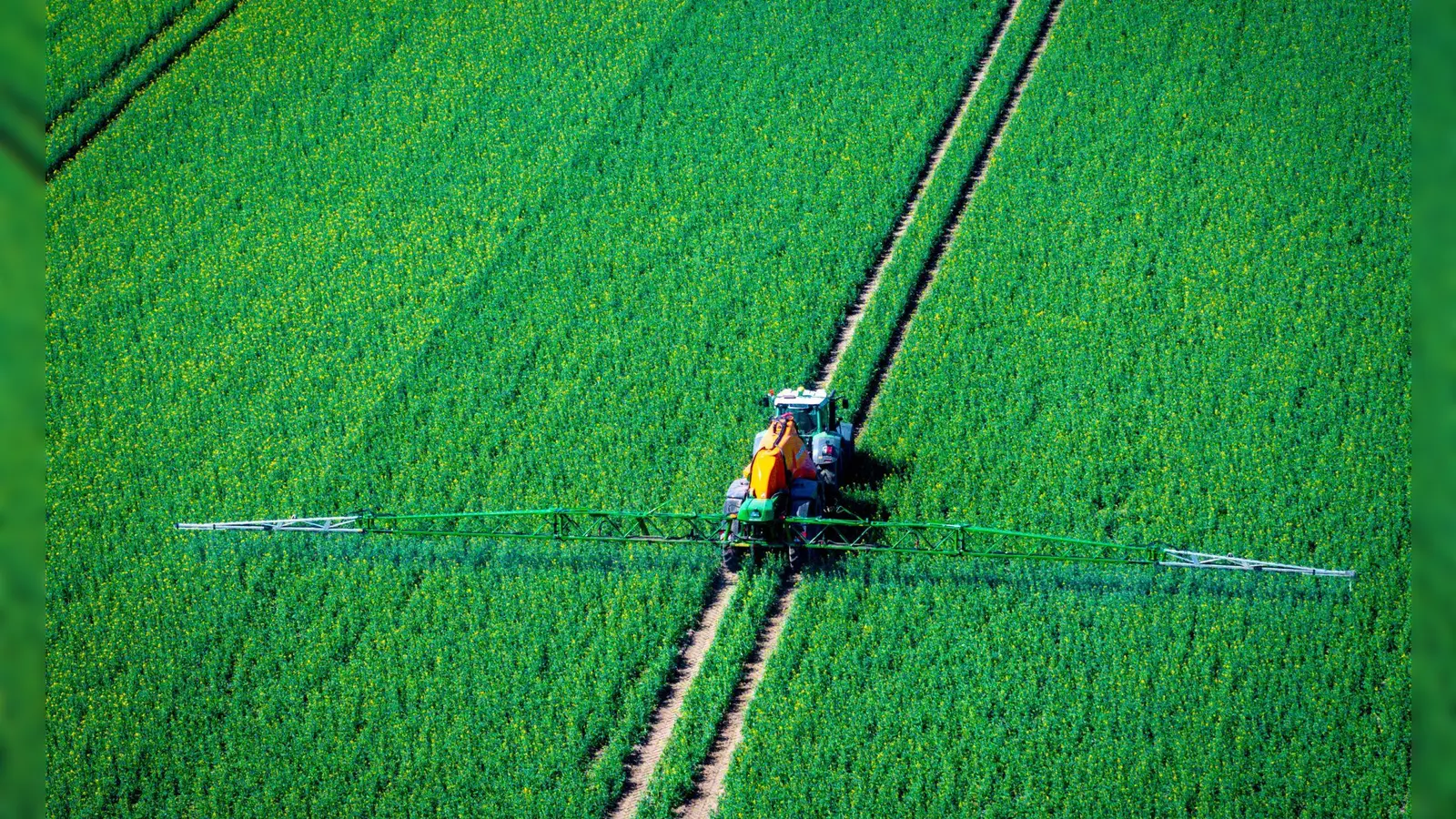 Pflanzenschutzmittel belasten Nützlinge im Boden (Archivbild) (Foto: Jens Büttner/dpa)