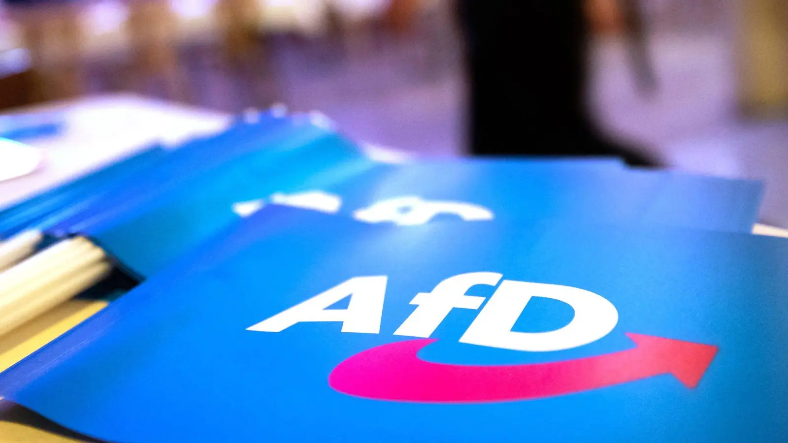 Im Umfeld eines AfD-Parteitages in Greding war es zu möglichen rechtsgerichteten Straftaten gekommen - sechs Männer stehen am Montag deswegen in Schwabach vor Gericht. (Symbolbild) (Foto: Daniel Karmann/dpa)