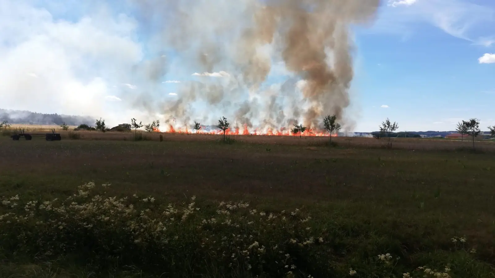 Als die ersten Feuerwehren beim Getreidefeld in Trainshöchstädt eintrafen, schlugen ihnen bereits mannshohe Flammen entgegen. (Foto: Peter Sauerbier/ Feuerwehr Dachsbach)