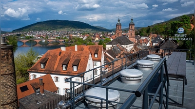 Der Landkreis Miltenberg hatte bisher einen Landrat von den Grünen. (Archivbild)  (Foto: Andreas Drouve/dpa-tmn)