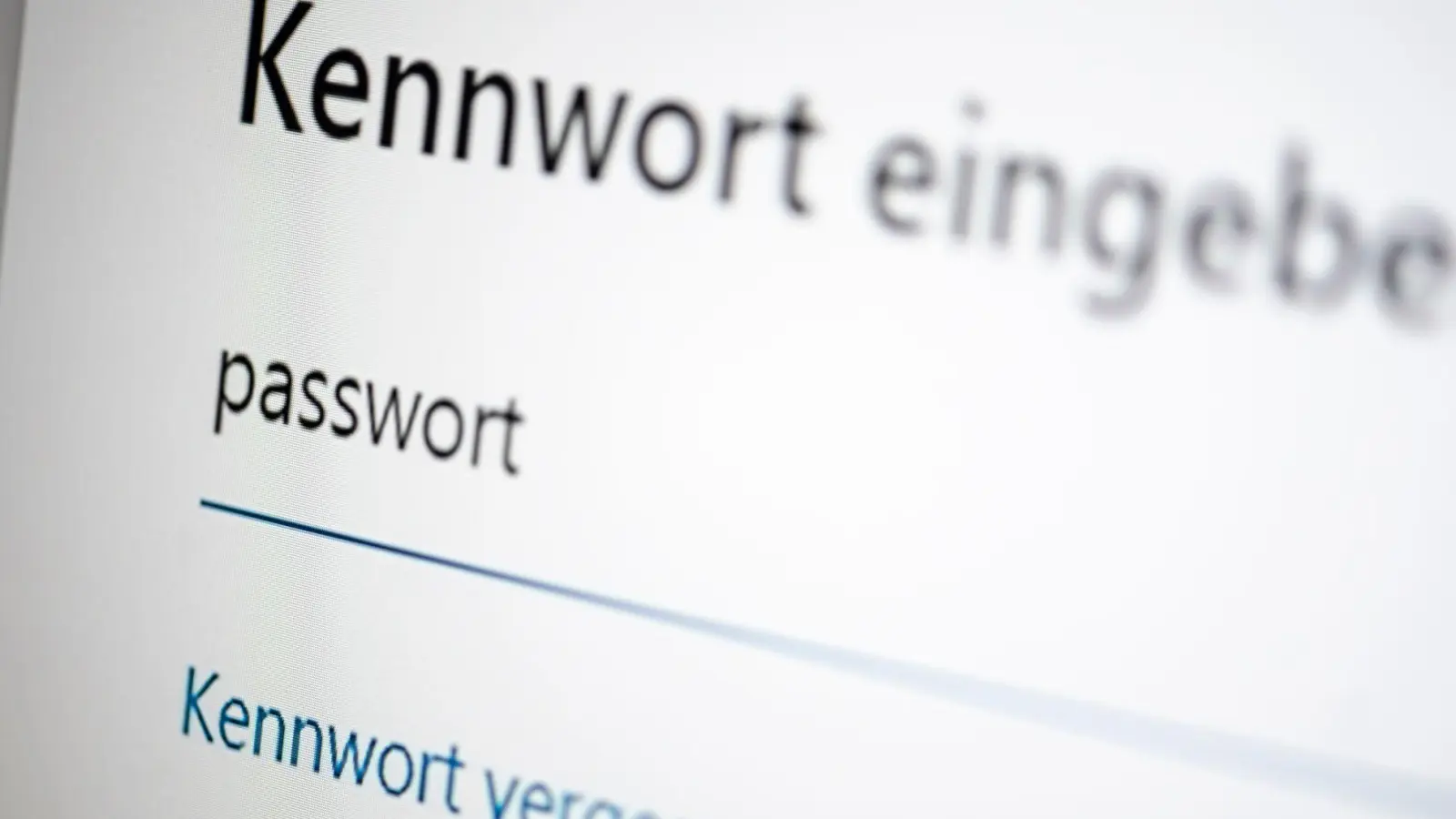 Die Menschen in Deutschland, die sich im Internet bewegen, haben großes Vertrauen in ihre Passwörter, verhalten sich im Alltag aber oft leichtsinnig. (Symbolbild) (Foto: Fabian Sommer/dpa)