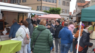 Das schöne Dinkelsbühl lädt Jung und Alt zum Besuch ein. (Foto: Peter Tippl)