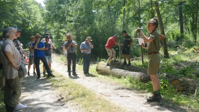 Mit einer Rangerin ist am Naturparktag eine Tour durch den Steigerwald möglich. Geboten sind auch viele weitere Veranstaltungen. (Archivbild: Gerhard Bauer)