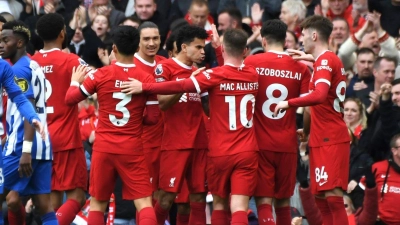 Liverpool setzte sich mit 2:1 gegen Brighton durch. (Foto: Rui Vieira/AP/dpa)