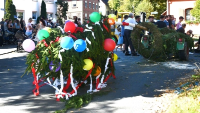 Die Kerwafichte wird am Samstag ab 15 Uhr vor dem Gemeindehaus aufgestellt.  (Foto: Gudrun Schwarz-Köhler)
