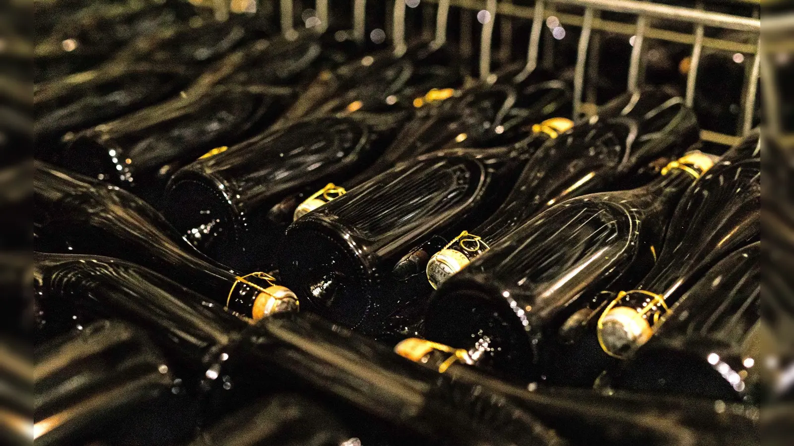 Fertig verkorkte Flaschen mit Cremant  im Keller eines Weinguts im Elsass. (Foto: Philipp von Ditfurth/dpa)