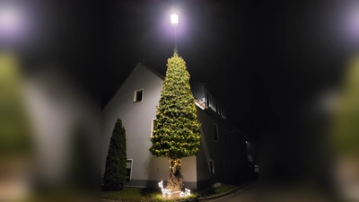 In Mittelbach erstrahlt auch in diesem Jahr das Efeuwunder.  (Foto: Florian Weiß)