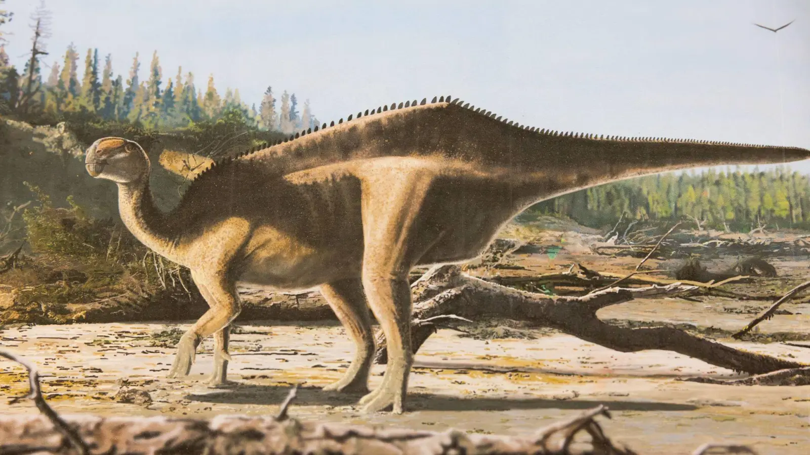 Künstlerische Darstellung von Istiorachis macaruthurae (Foto: James Brown/University of Portsmouth/dpa)