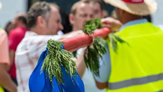 Wallfahrer tragen einen 13 Meter langen, mit rotem Wachs umwickelten Fichtenstamm. (Foto: Armin Weigel/dpa)