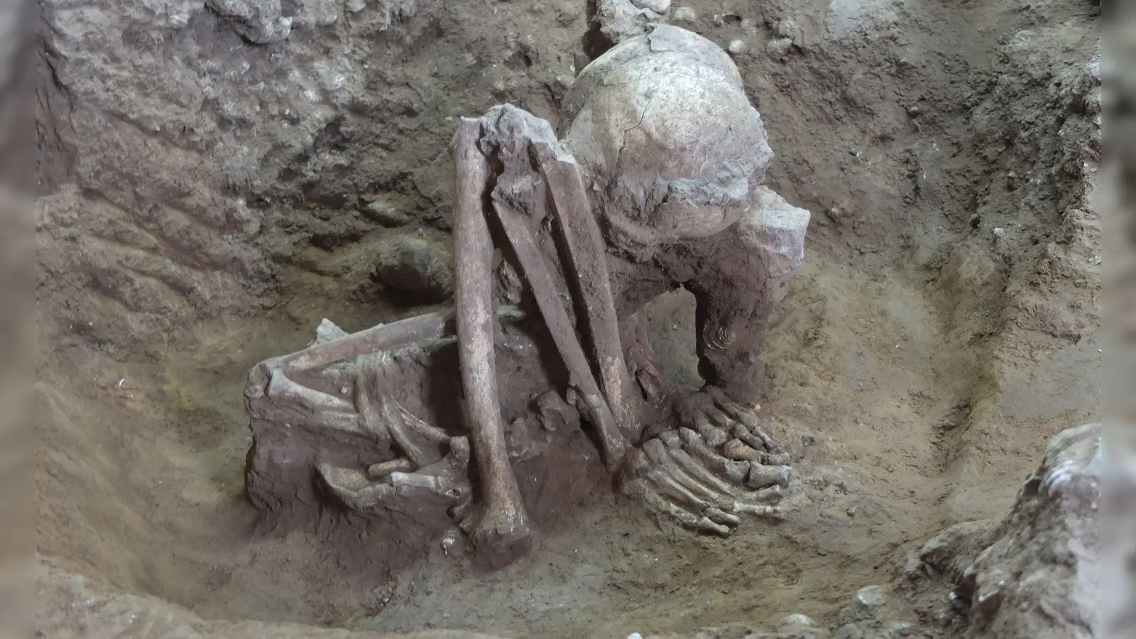 Dieser Fund soll älter als 9.000 Jahre sein. (Foto: Yousuke Kaifu;Hirofumi Matsumura/dpa)